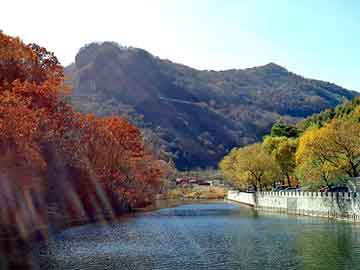 澳彩资料免费长期公开，波峰焊配件